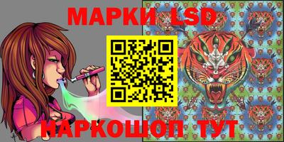 индика Северобайкальск