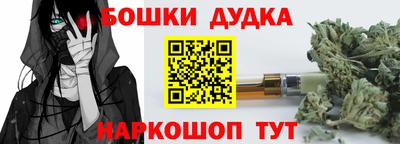 индика Северобайкальск