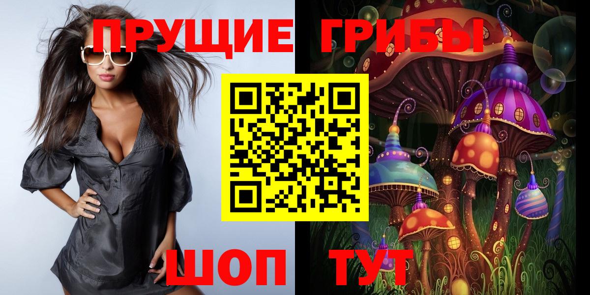 купить наркотик  Вход с VPN  Новозыбков  Галлюциногенные грибы GOLDEN TEACHER 